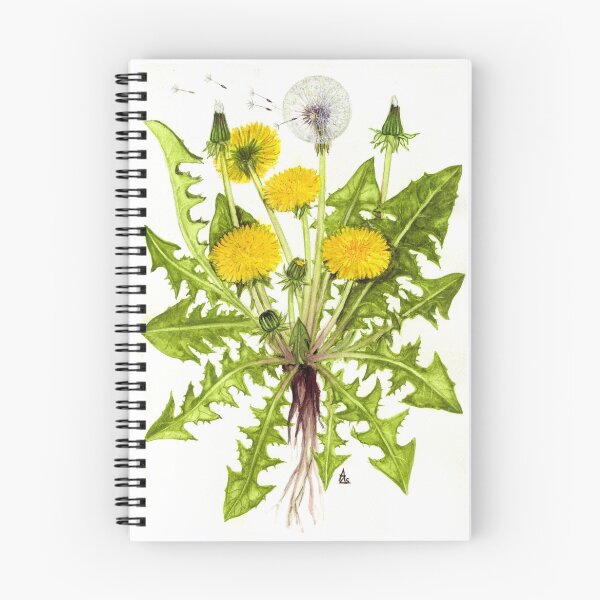 Item preview, Dandelion -  Taraxacum officinale designed and sold by Sue Abonyi.