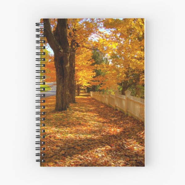 Item preview, Golden Autumn Path designed and sold by thewaterfallhunter.