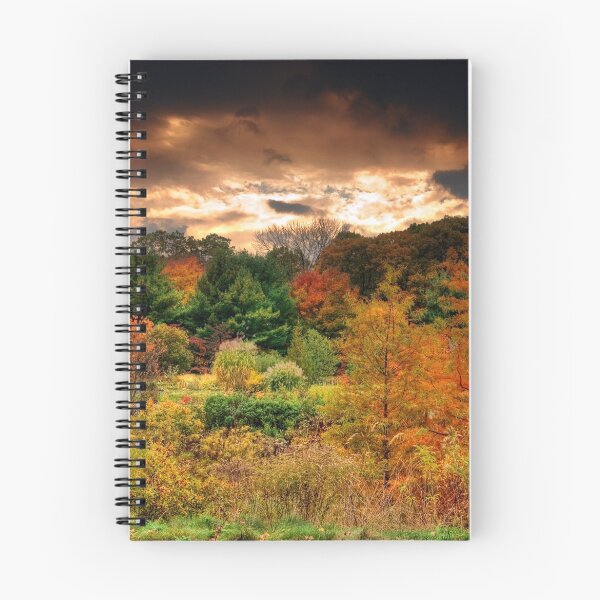 Item preview, Autumn Tree's at Dusk designed and sold by Mike Savad Photography.