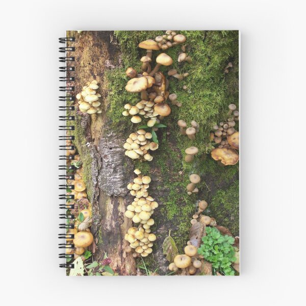 Item preview, rain forest mushrooms designed and sold by michael griffith.