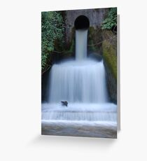 Water Greeting Card