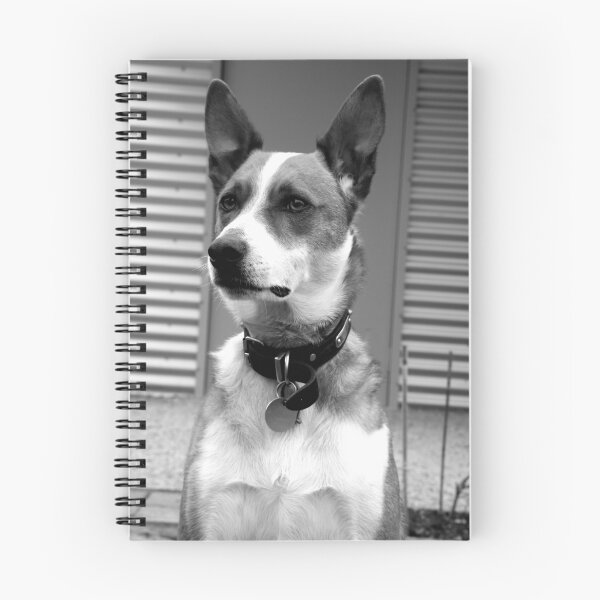Artikelvorschau, Guarding the Shed entworfen und verkauft von Nicmutt.