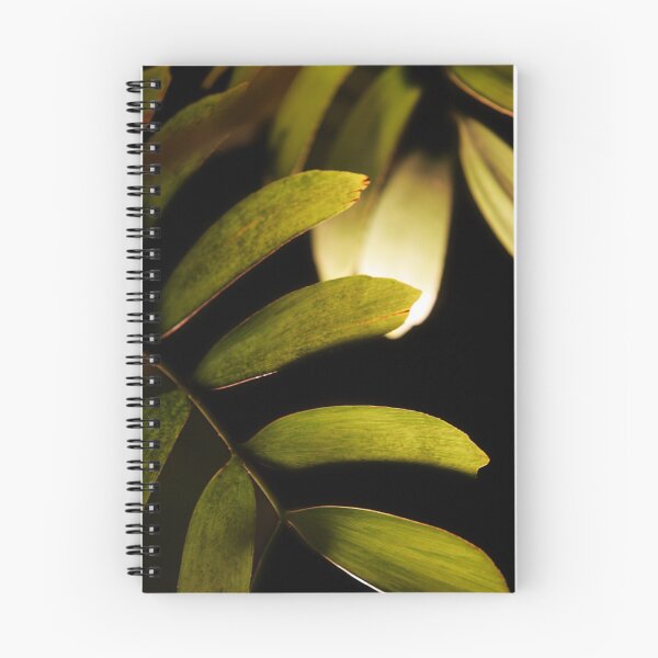 Item preview, Light and leaves designed and sold by bobovoz.