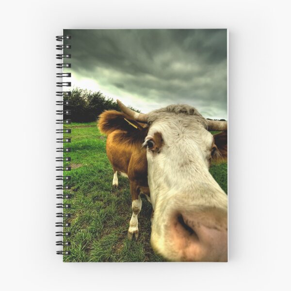 Aperçu de l'œuvre Lens cleaning - cow style créée et vendue par Oneof42.