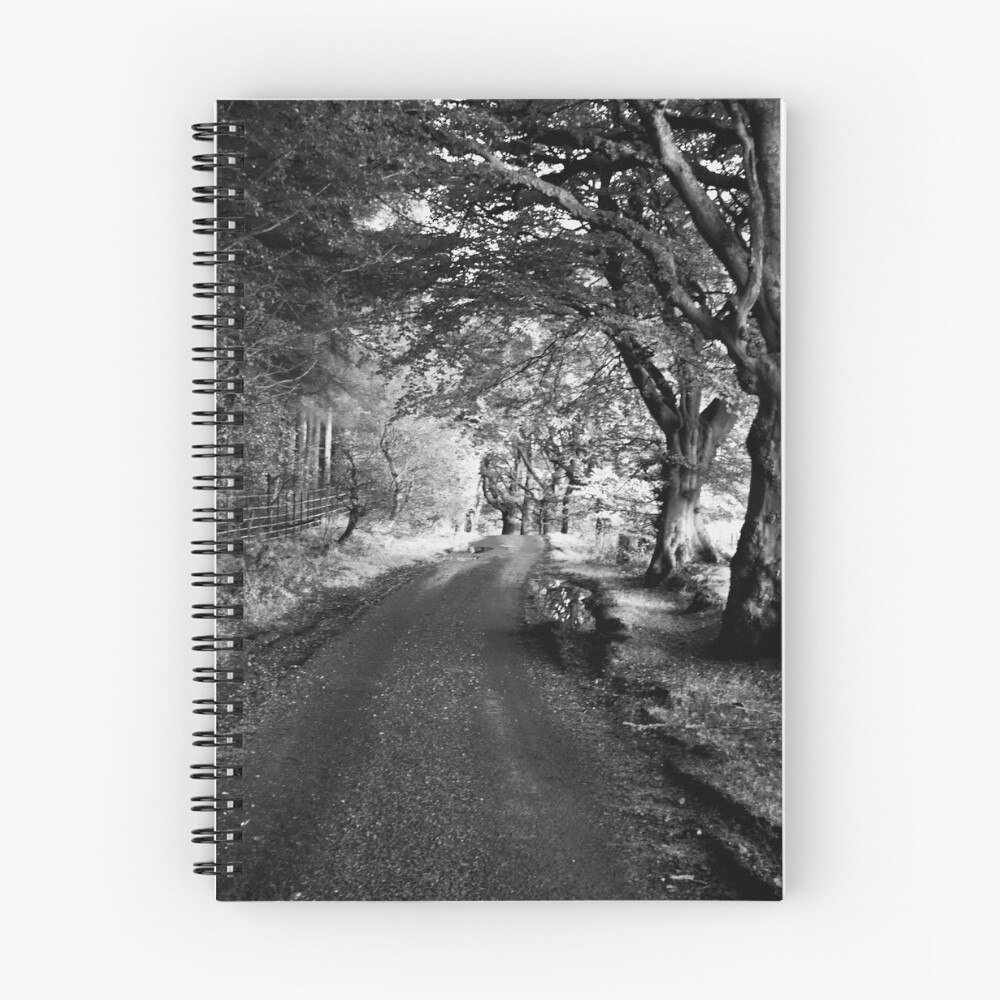 Item preview, Spiral Notebook designed and sold by Ranger1.
