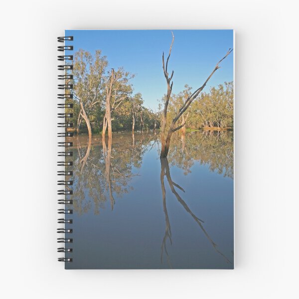 Item preview, Creek at Nindigully, Qld designed and sold by Richard  Windeyer.