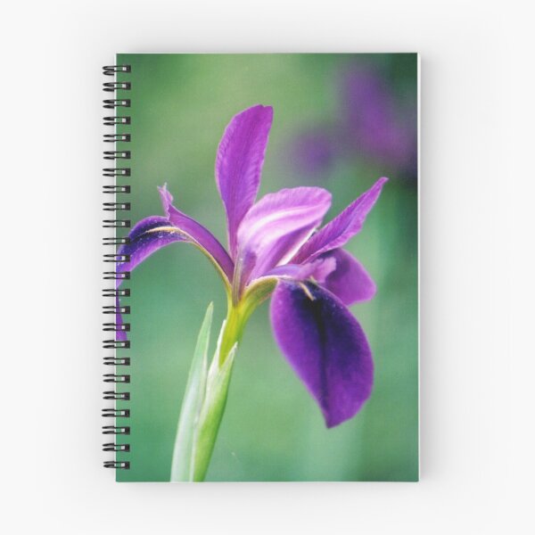 Item preview, Iris designed and sold by Suni Pruett.