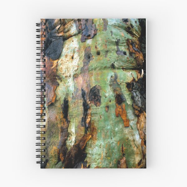 Aperçu de l'œuvre Red Gum Bark créée et vendue par Ern Mainka.