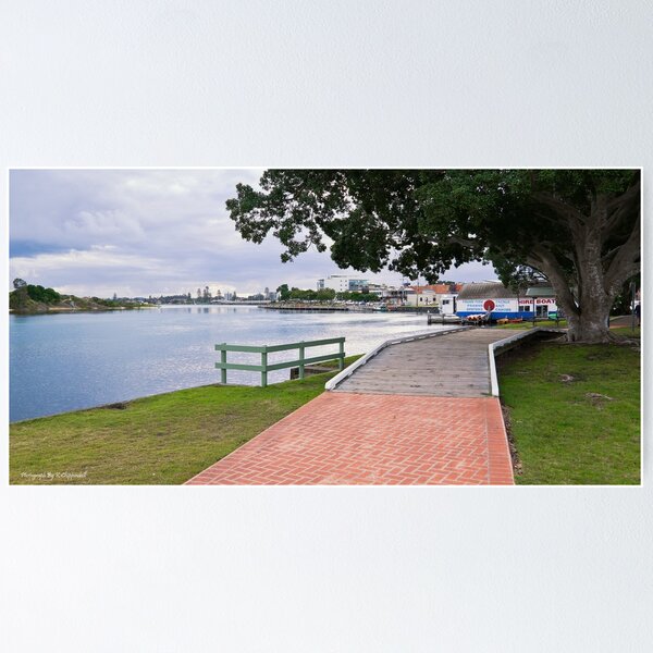 Item preview, Beautiful Forster 333 designed and sold by kevin Chippindall.