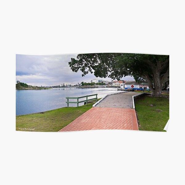 Beautiful Forster 333 Poster