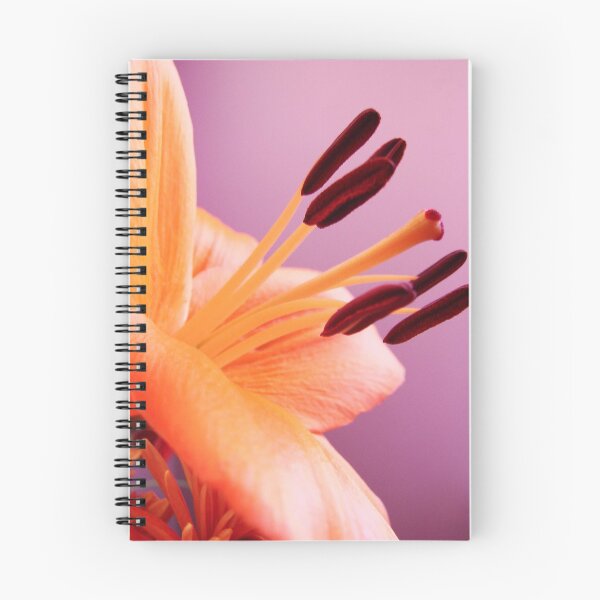 Item preview, A Bit of A Stretch designed and sold by sknelson.