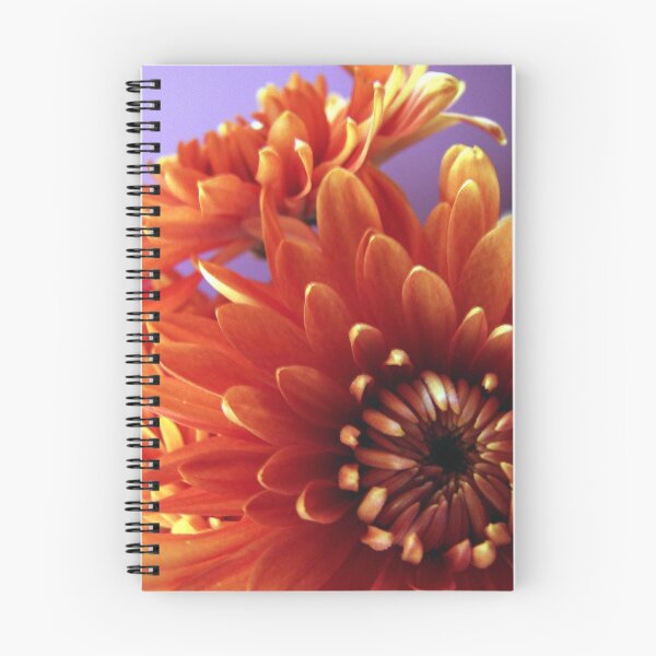 Item preview, Fall Mums designed and sold by sknelson.
