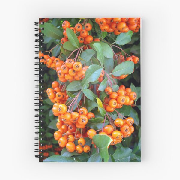 Item preview, Mountain Ash designed and sold by Gregory Ewanowich.