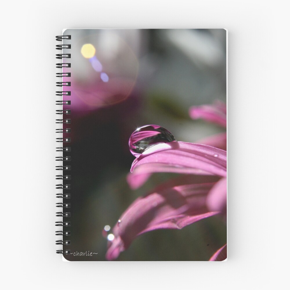 Item preview, Spiral Notebook designed and sold by chuckles.