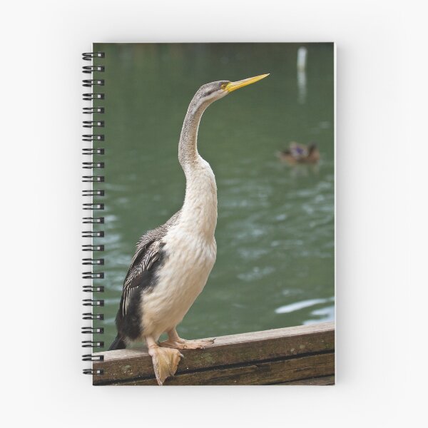 Item preview, Darter designed and sold by Peter Ede.
