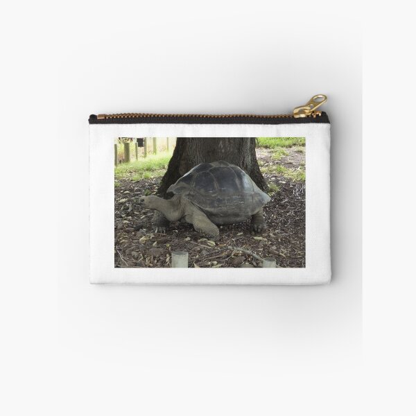 Item preview, Giant Galpagos Tortoise designed and sold by mosgol.