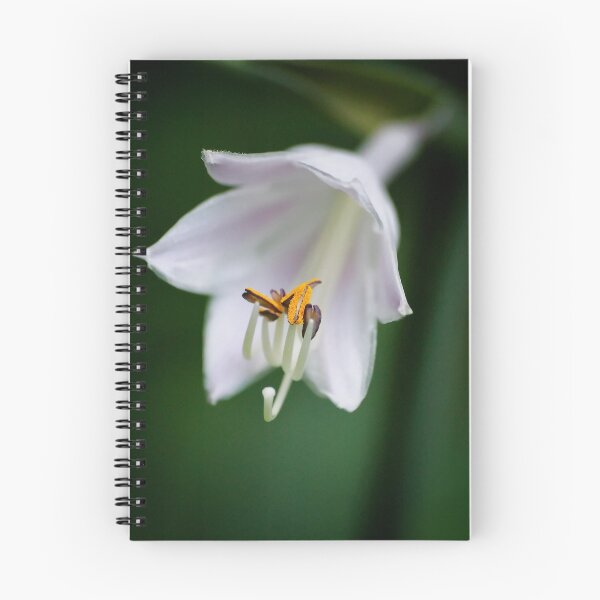 Artikelvorschau, Hosta entworfen und verkauft von Leisa  Hennessy.