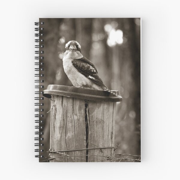 Item preview, Country Kookaburra designed and sold by Gayle Shaw.