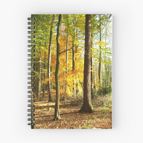 Item preview, Autum Trees designed and sold by forestphotos.