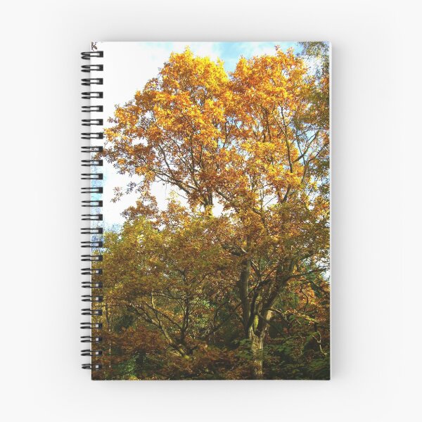 Item preview, The Autum Tree designed and sold by forestphotos.