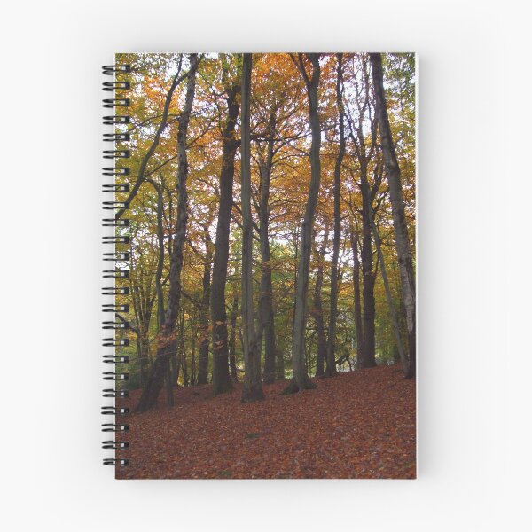 Item preview, Autums Carpet designed and sold by forestphotos.