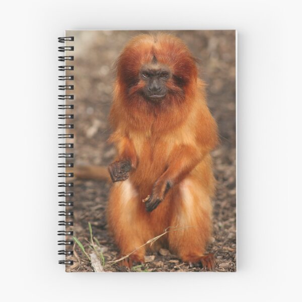 Item preview, golden monkey designed and sold by odile.