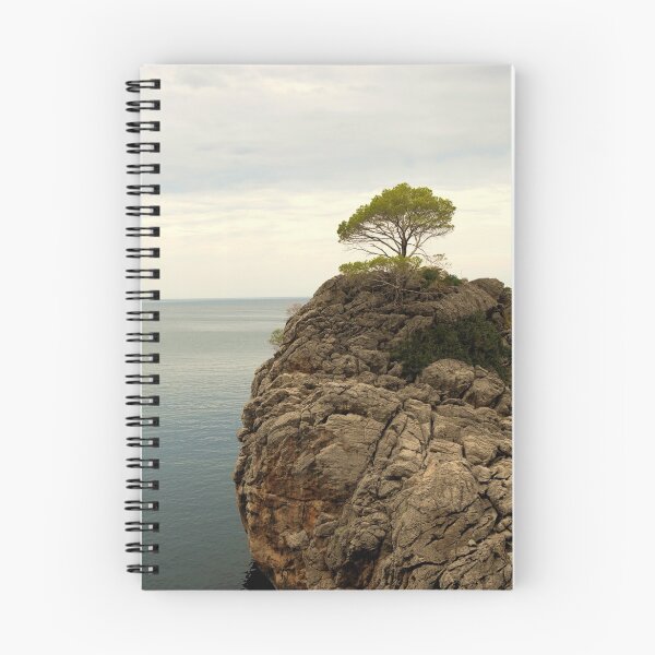 Item preview, Credencial Supervivencia en aguas claras designed and sold by Catalin Soare.