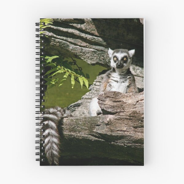 Item preview, Lemur In Repose designed and sold by Jan Cartwright.