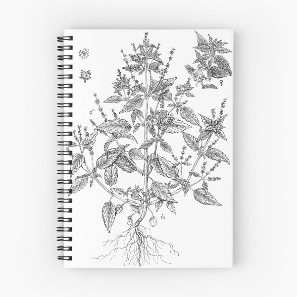 Item preview, Mercury - Mercurialis annua designed and sold by Sue Abonyi.
