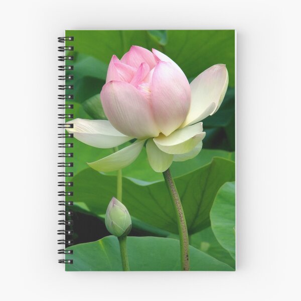 Item preview, Lotus Flower designed and sold by Leeo.