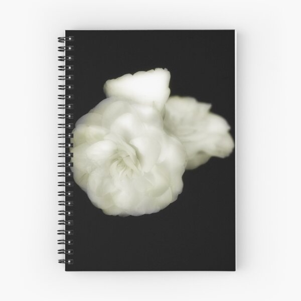 Item preview.
