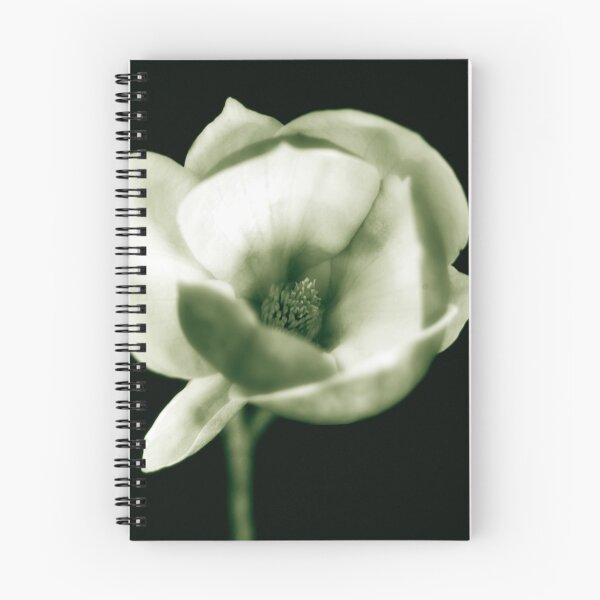 Item preview.