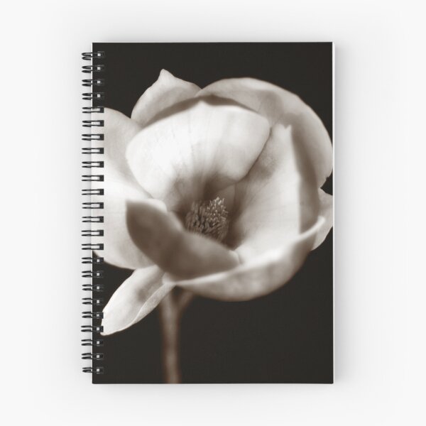 Item preview.