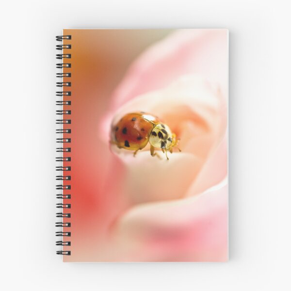 Item preview, Ladybug VI designed and sold by Leisa  Hennessy.