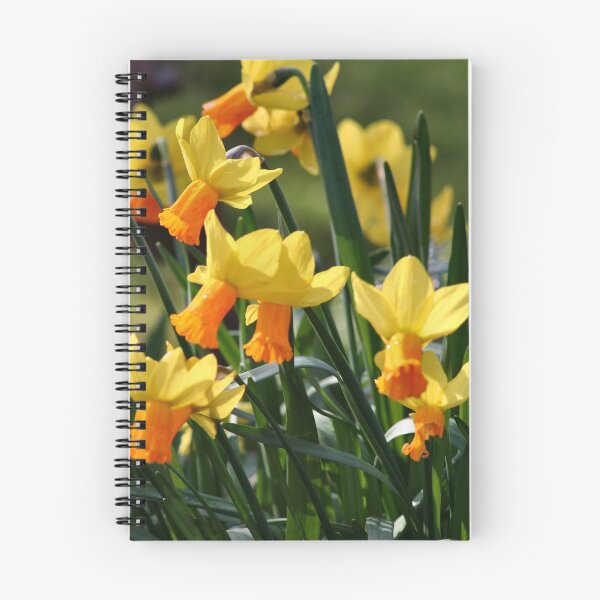 Artikelvorschau, yellow daffodils entworfen und verkauft von odile.