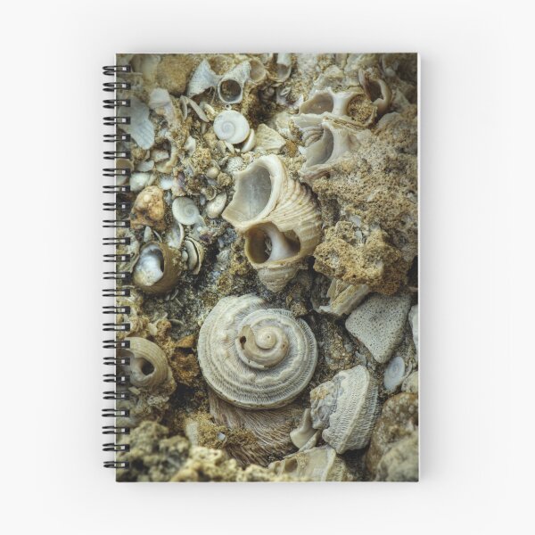 Item preview, FOSSILIZED SHELLS designed and sold by alistair mcbride.