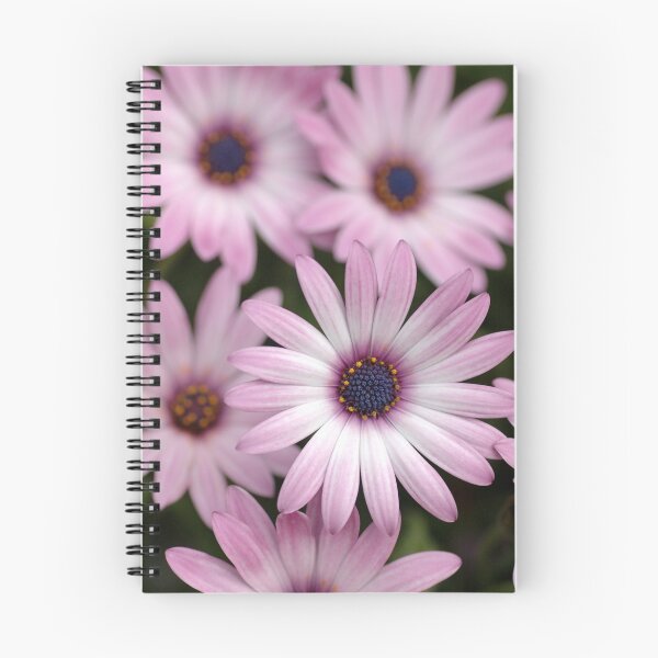 Item preview, Daisy Dreaming designed and sold by Lorraine Deroon.