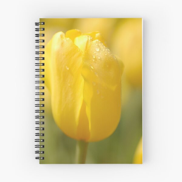 Item preview, Golden Tulip designed and sold by Lorraine Deroon.