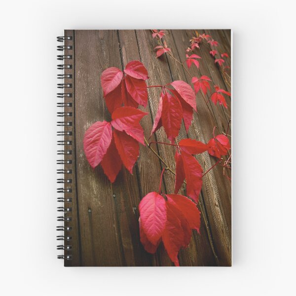 Item preview, Red designed and sold by Philippe Sainte-Laudy.