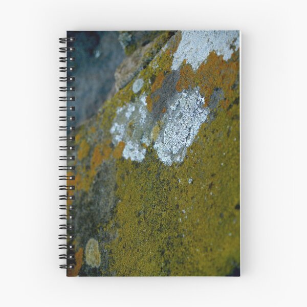 Item preview, Highly Unlichenly designed and sold by Barbara Kaplowitz.