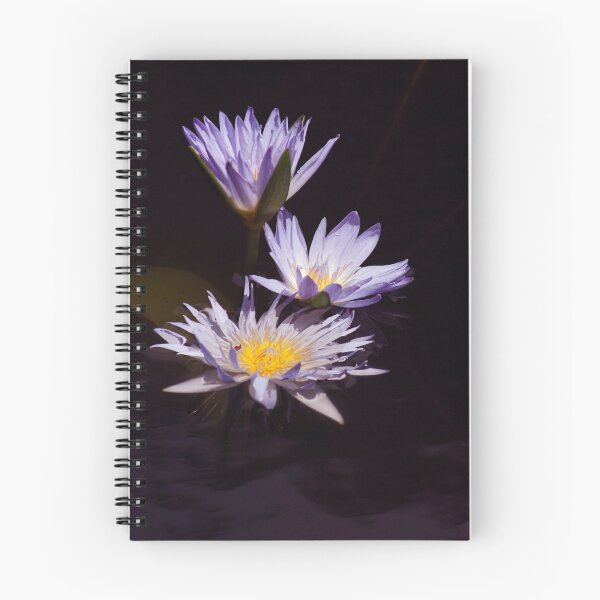 Item preview, Waterlily trio designed and sold by Sara Lamond.