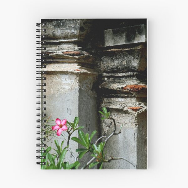 Artikelvorschau, Flower And Ruins entworfen und verkauft von PixPlanet.