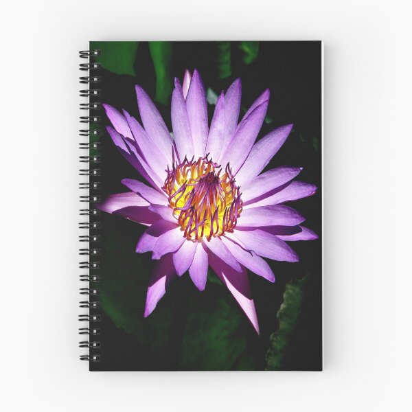 Item preview, Purple Lotus designed and sold by PixPlanet.