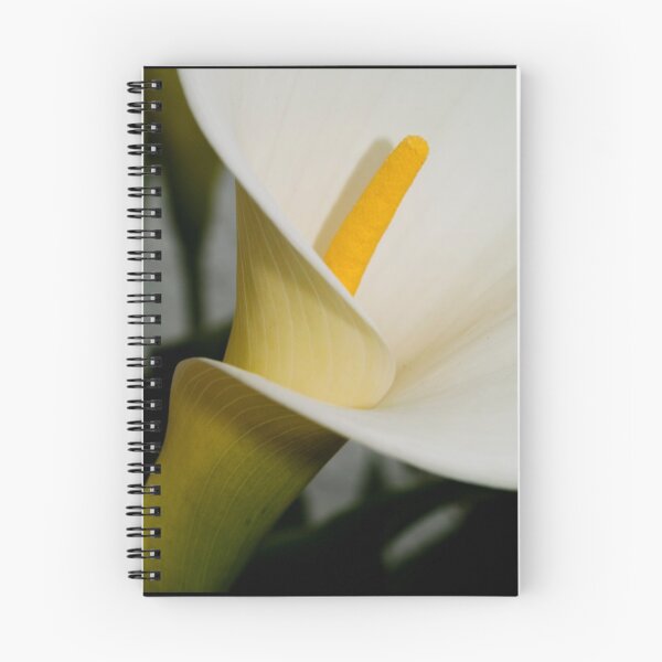Item preview, Seductive designed and sold by Jenni77.