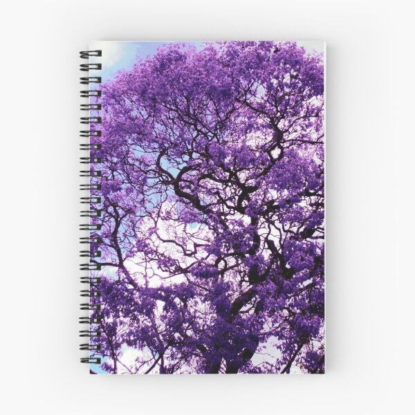 Item preview, Jacaranda designed and sold by Route64.