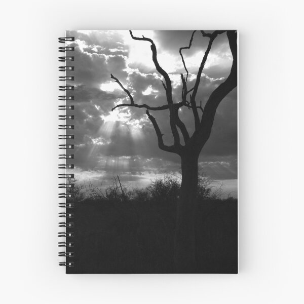 Item preview, Dramatic Tree Landscape - B&W designed and sold by Gerry Van der Walt.