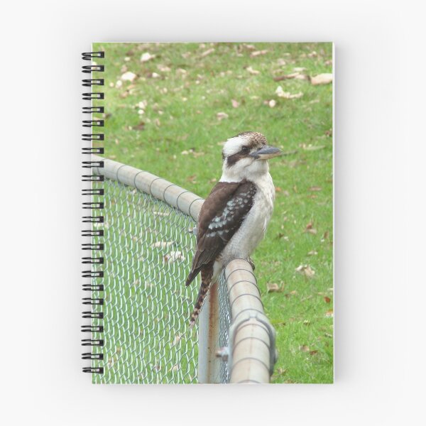 Artikelvorschau, Kookaburra...  entworfen und verkauft von Renae.