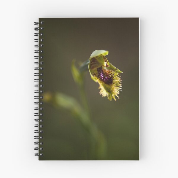 Item preview, AUSTRALIAN BEARDED ORCHID designed and sold by hugo.
