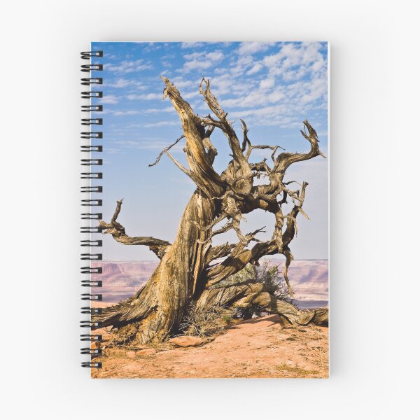 Item preview, Dead Tree 2 designed and sold by SwainPhotography.