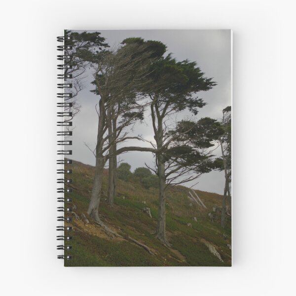 Item preview, Wind blown designed and sold by Steve plowman.